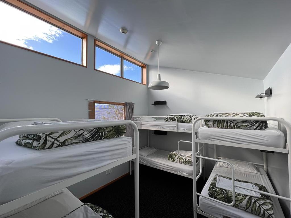 On Top Backpackers Dunedin Extérieur photo