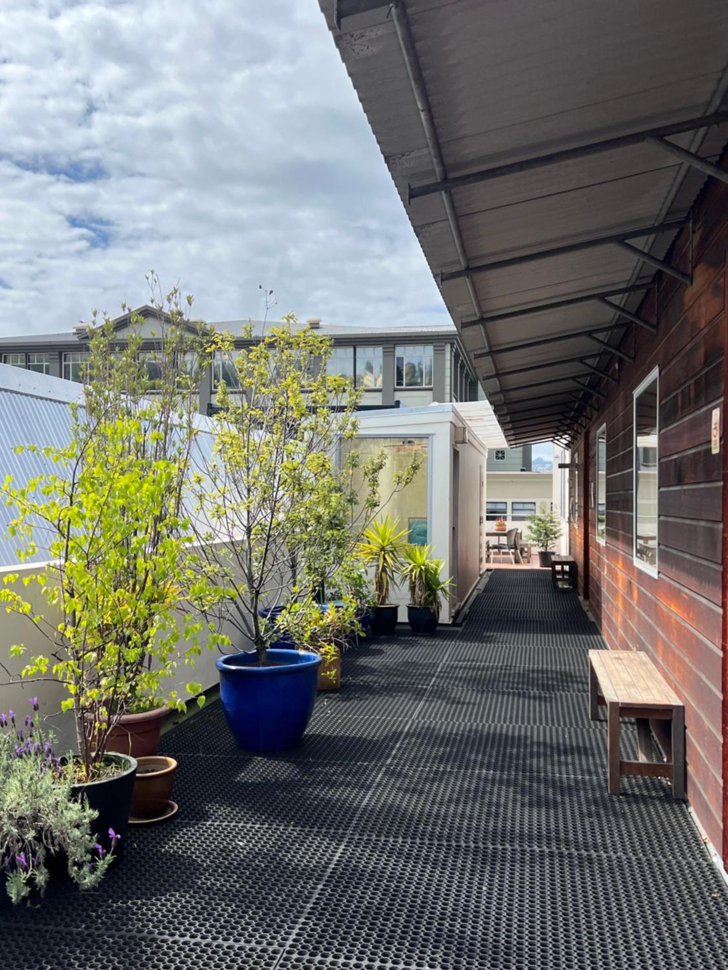 On Top Backpackers Dunedin Extérieur photo